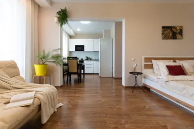 1-к. квартира, 44 м², 6/17 эт. — sm.webp