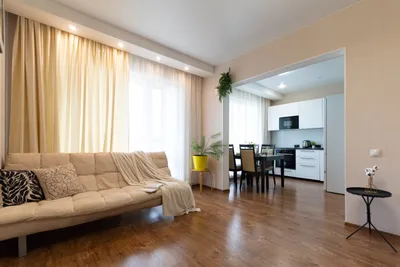 1-к. квартира, 44 м², 6/17 эт. — sm.webp