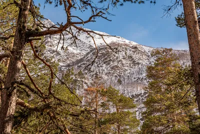 Дом в Терсколе " Ребекка" — sm.webp