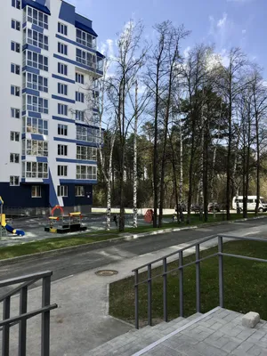 Уголок тишины и спокойствия леса в центре Барнаула   — sm.webp