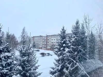 Однушка на стиле "2D Рисунок" — sm.webp