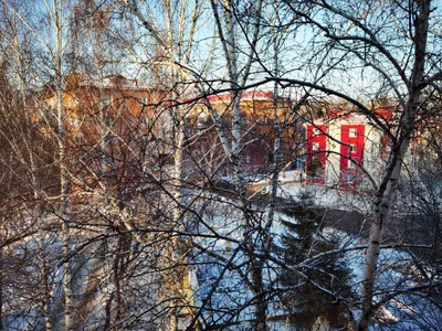 Белоснежная у парка Пушкина — sm.webp