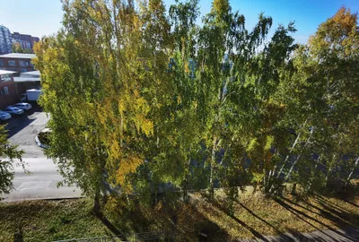 Студия у Спутника — sm.webp