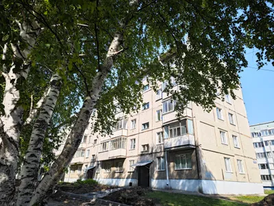 1-комнатная Стандарт — sm.webp