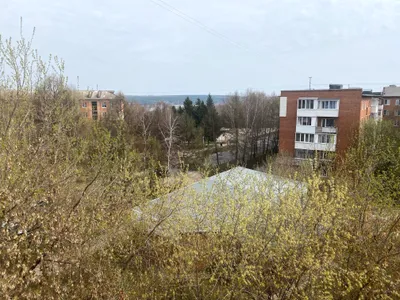 1-комнатная "Комфорт" — sm.webp