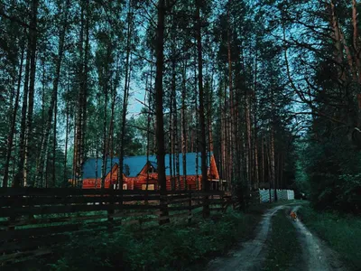 Дом у реки — xl.webp