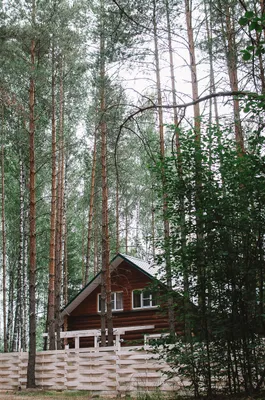 Дом у реки — sm.webp