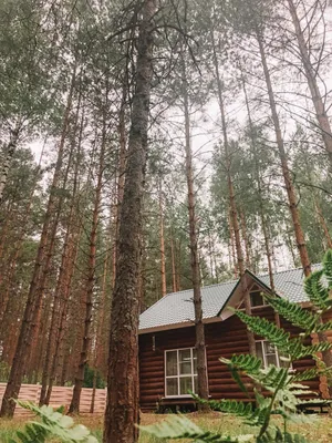 Дом у реки — sm.webp