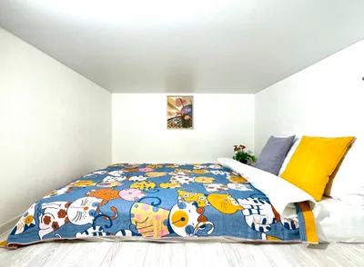 Двухуровневая студия в 3 минутах от метро Технологический институт — sm.webp