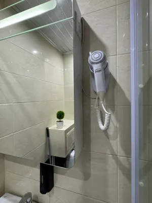 Уютная квартира (Мира 7) — sm.webp