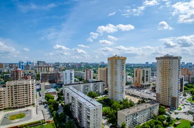 2-к. квартира, 46 м² — xl.webp