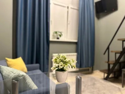 Квартира — xl.webp