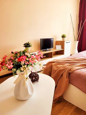 Квартира в новом доме — sm.webp