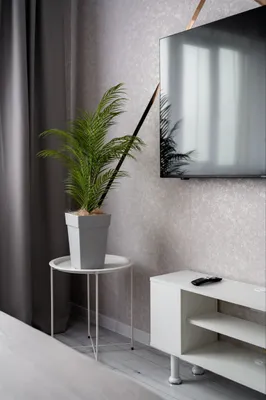 Стильная квартира в Прогрессе — sm.webp