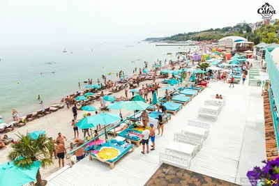 Апартаменты «Shale» - Ваш идеальный отдых в Сочи! — sm.webp