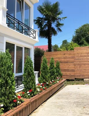 Апартаменты «Shale» - Ваш идеальный отдых в Сочи! — sm.webp