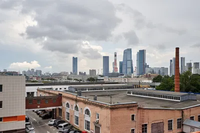 Мята 2 — sm.webp