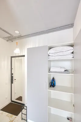 Мята 2 — sm.webp