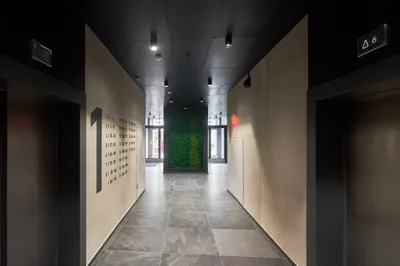 Мята 2 — sm.webp