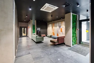 Мята 2 — sm.webp