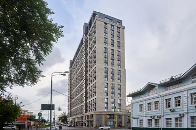 Мята 2 — xl.webp