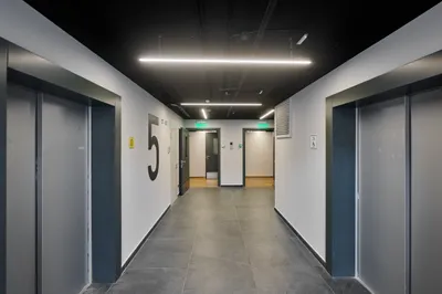 Мята 2 — sm.webp