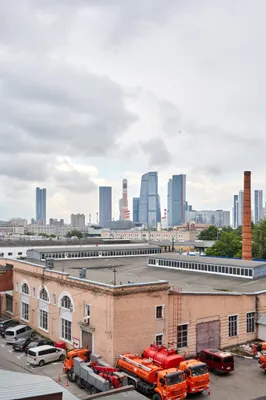 Мята 2 — sm.webp