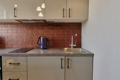 Мята 3 — sm.webp