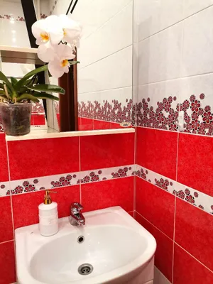 Однокомнатная квартира в центре  — xl.webp