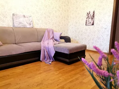 Однокомнатная квартира в центре  — sm.webp