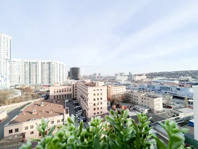 Новая евро-студия около вокзала — xl.webp