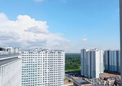 Квартира-студия, 20 м², 20/23 эт. — sm.webp