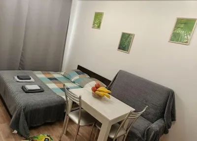 Квартира-студия, 19,5 м², 2/18 эт. — sm.webp