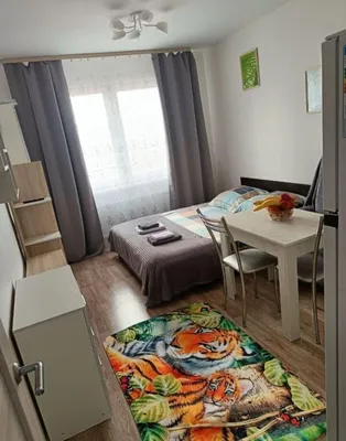 Квартира-студия, 19,5 м², 2/18 эт. — sm.webp