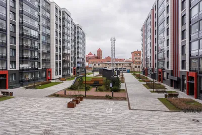 Семейная квартира с кондиционером "Тропики на Неве" — sm.webp