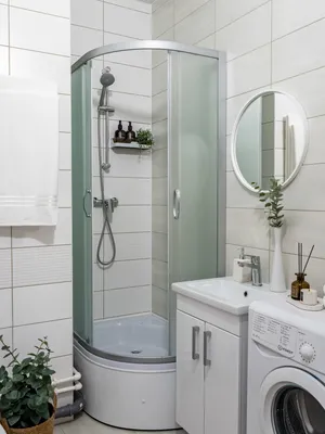 Стрижи — xl.webp