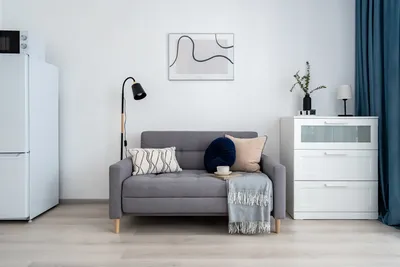 Стрижи — xl.webp