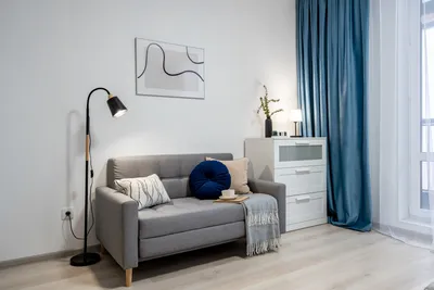 Стрижи — sm.webp