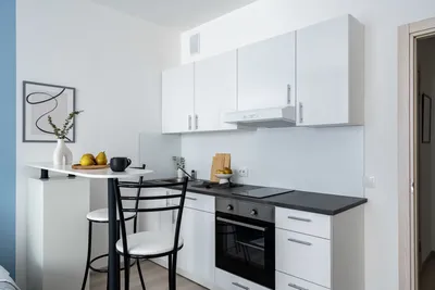 Стрижи — xl.webp