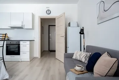 Стрижи — sm.webp