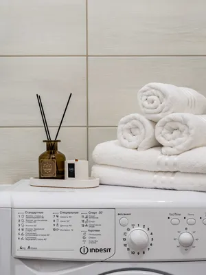 Стрижи — sm.webp