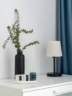 Стрижи — sm.webp