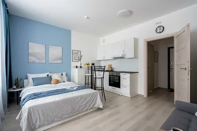 Стрижи — sm.webp