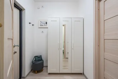 Стрижи — sm.webp