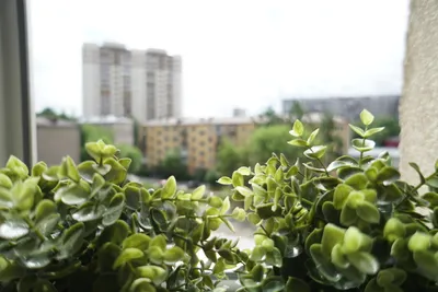 Уютная 2к квартира на Галущака 15 — sm.webp