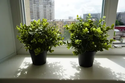 Уютная 2к квартира на Галущака 15 — sm.webp