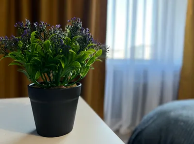 2к квартира на Красном проспекте 70 — sm.webp