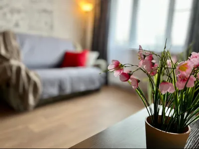 Уютная 2к квартира на Линейной 33/3 — sm.webp