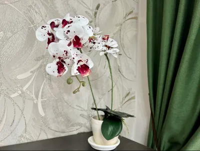 Просторная 2к квартира с дизайнерским ремонтом — sm.webp