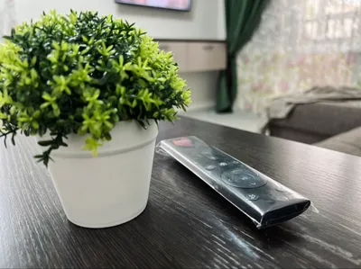 Просторная 2к квартира с дизайнерским ремонтом — sm.webp